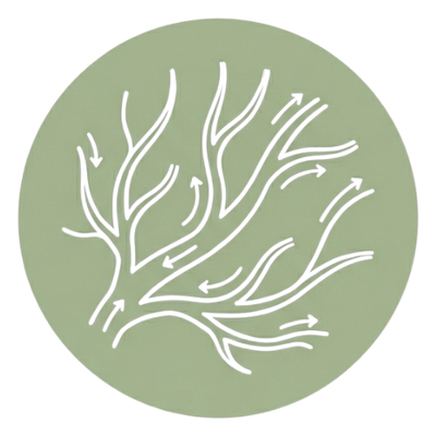 Microcirculation Support